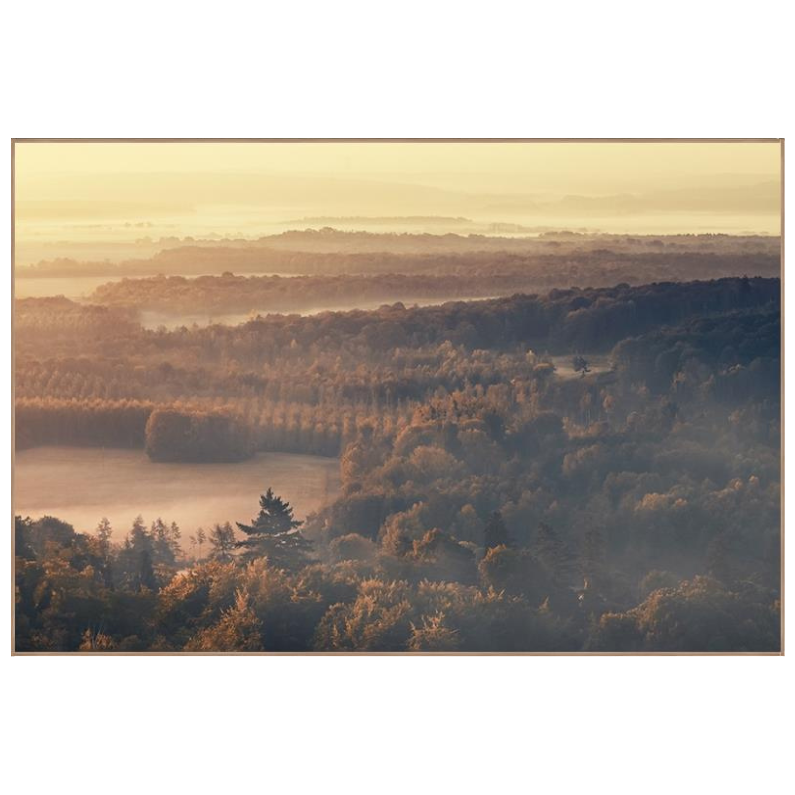 Misty Horizon