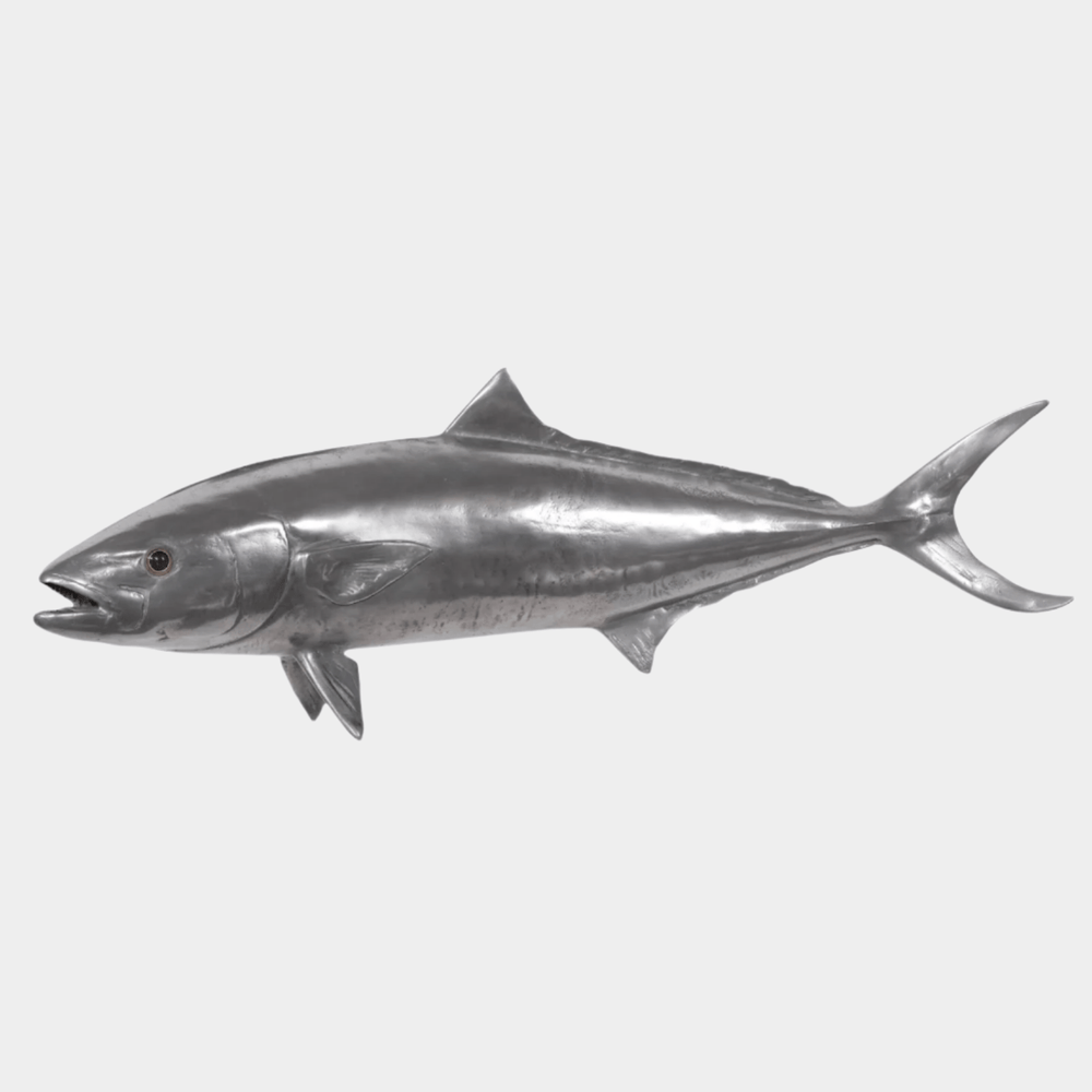 Yellow Tailed King Fish