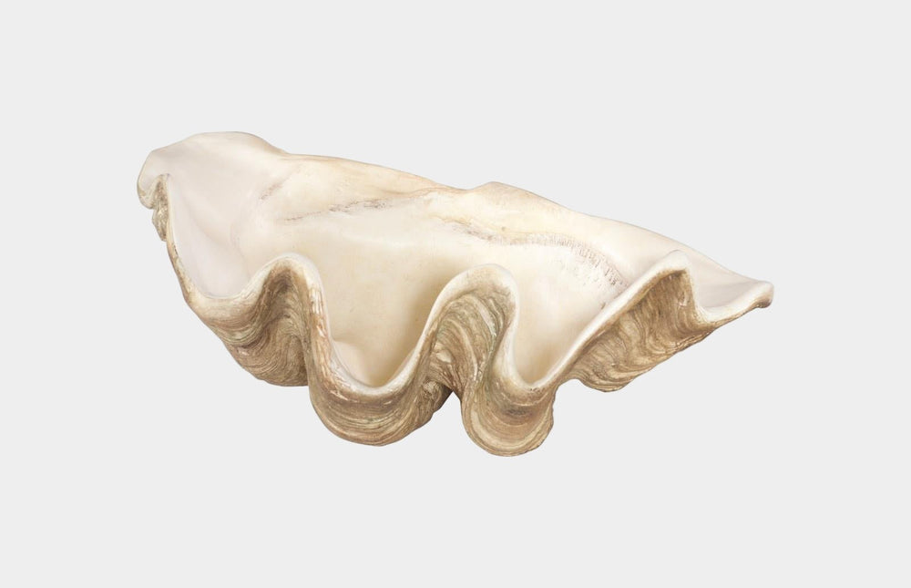 Cast Clam Shell Bowl