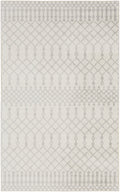 Astra Machine Washable Ivory Bohemian Polyester Area Rug