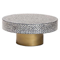 Idra Mother of Pearl Capiz Shell Coffee Table