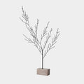 Buckthorne Wire Tree