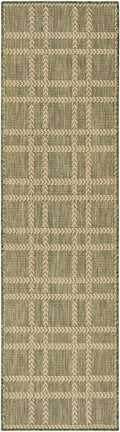 Horizon Indoor/Outdoor Green Modern Polypropylene Area Rug