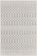 Astra Machine Washable Grey Bohemian Polyester Area Rug