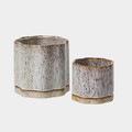 Avenell Pot