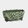 Vinelet Trough
