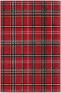 Grafix Red Rustic Polypropylene Area Rug