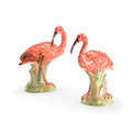 Ibis Pair - Red