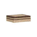 Calusa Box - SM