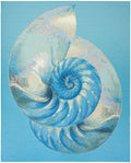 Color Splash Blue Ivory Coastal, Nautical & Beach Polypropylene Area Rug
