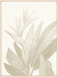 Tropical Beige I