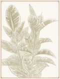 Tropical Beige III