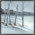 Snowy Birch Trees