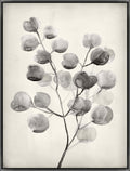 Stamped Botanical IV