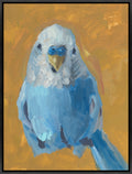 Chirp Chirp
