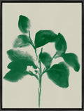 Emerald Natured III