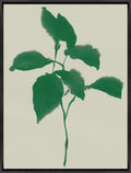 Emerald Natured IV