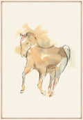 Tan Rider 1