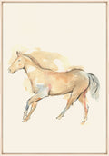 Tan Rider 2