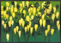 Green to Yellow