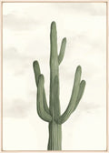 Desert West II