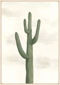 Desert West III