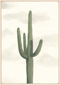 Desert West IV