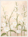 Soft Spring Floral I