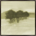Whispers of Nature