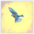 Beyond The Skies I