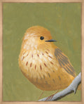 Bird Watching I