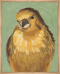 Bird Watching II