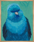 Bird Watching IV