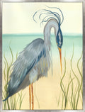 Beak on the Sand