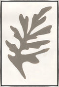 Fluidity of Form IV