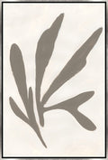Fluidity of Form V