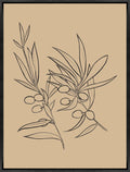 Olive Stem