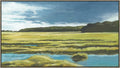 Wetland Vista