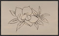 Magnolias in Line I