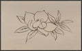 Magnolias in Line II