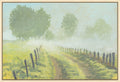 Misty Backroad