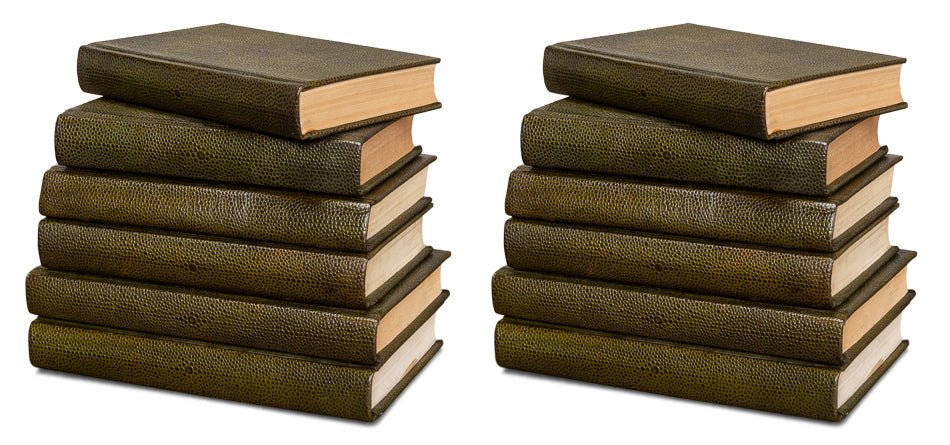 Set of 12 Shagreen Books