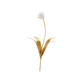 Tulip Stem (Sm)