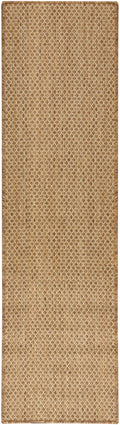Courtyard Jute Modern Polypropylene Area Rug