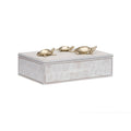 Tortoise Family Box