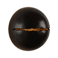 Lunar Onyx Sconce