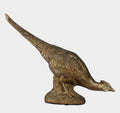 Arturo Pheasant