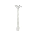 Palm Tree - White
