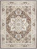 Dekor Brown Ivory Vintage Polypropylene Area Rug
