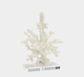 Coral Sculpture
